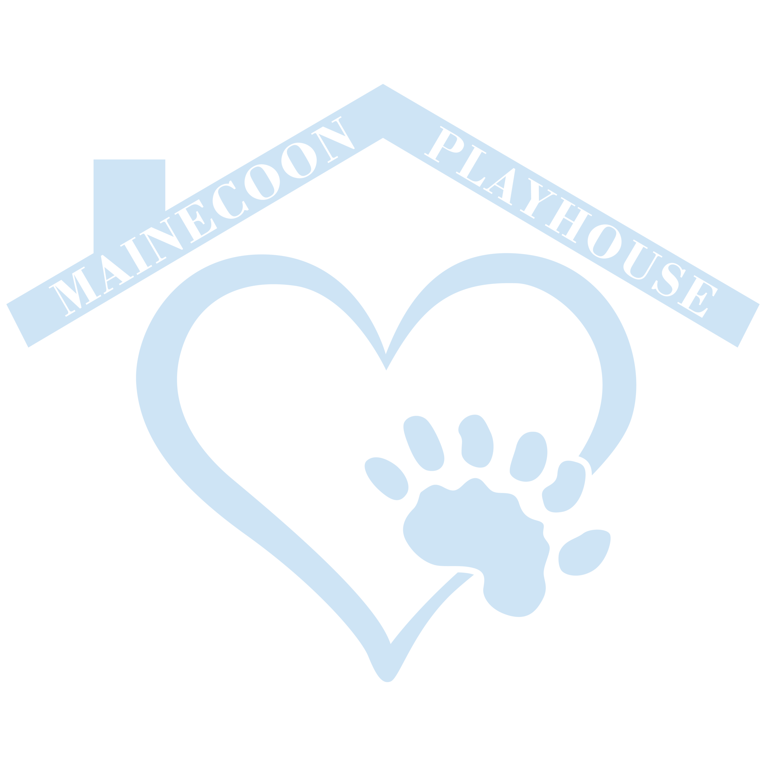 Maine Coon Playhouse